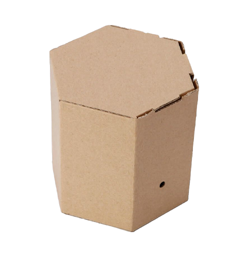Cardboard Custom Shape Boxes