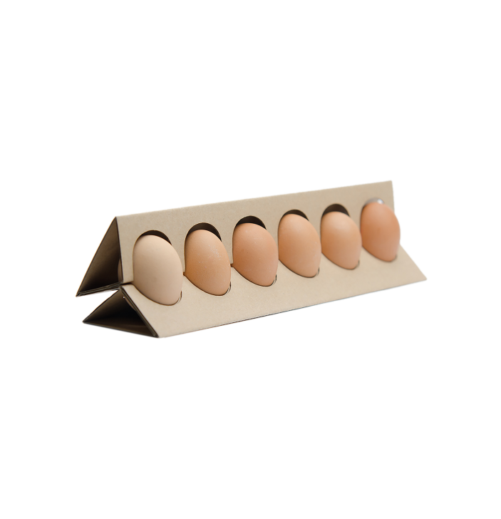 Egg Tray Boxes